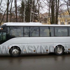 bus-yut