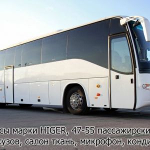 bus-higer-50